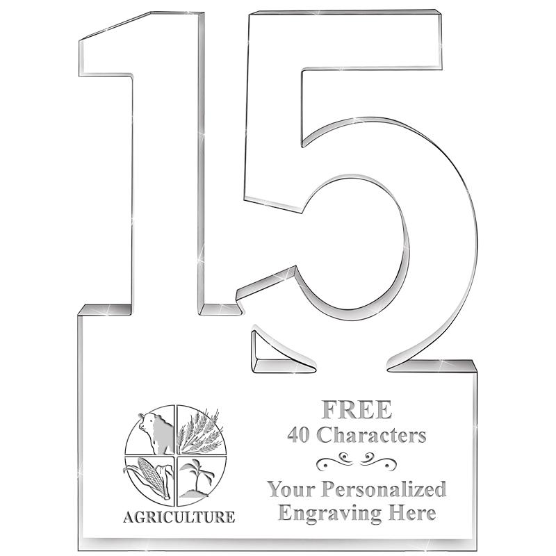 6" 15 YEARS OF SERVICE ACRYLIC