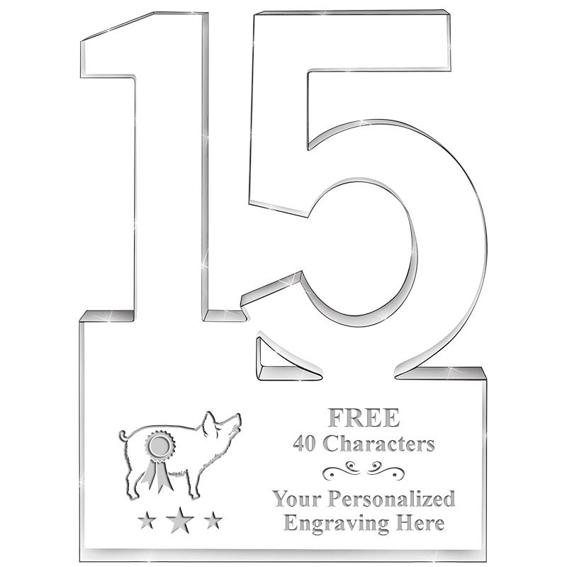 6" 15 YEARS OF SERVICE ACRYLIC