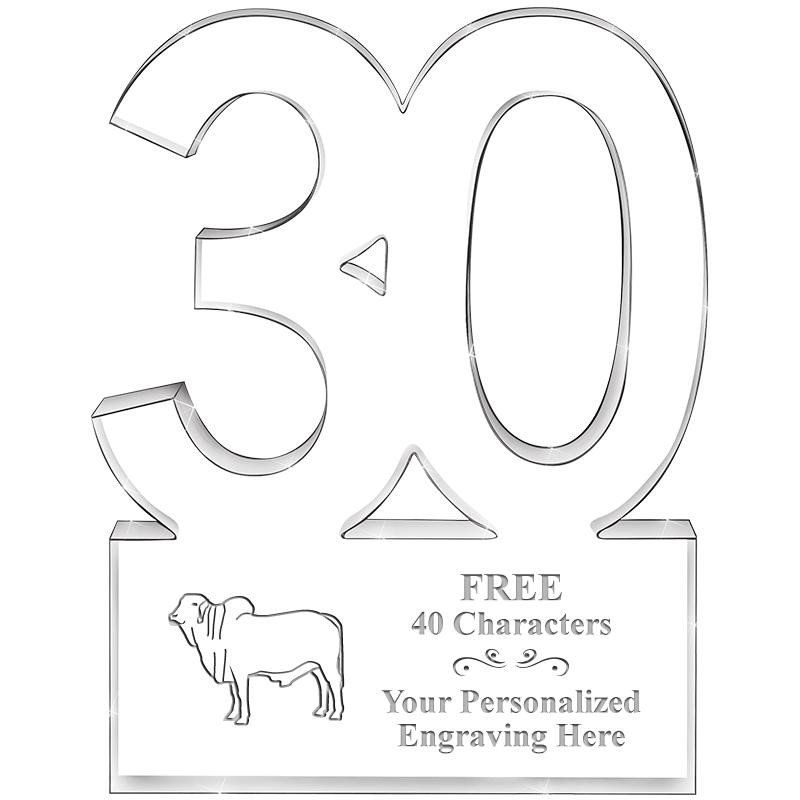 6" 30 YEARS OF SERVICE ACRYLIC