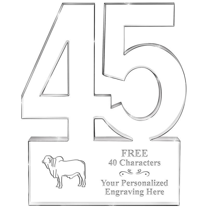 6" 45 YEARS OF SERVICE ACRYLIC