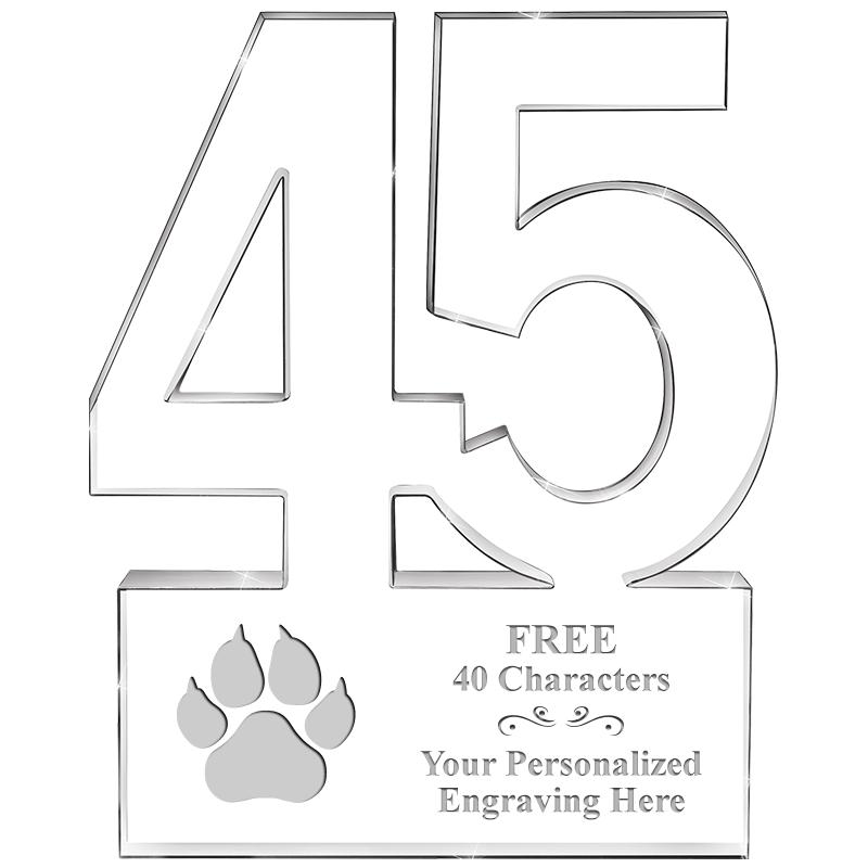 6" 45 YEARS OF SERVICE ACRYLIC