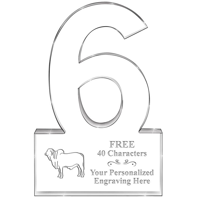 %" 6 YEARS OF SERVICE ACRYLIC