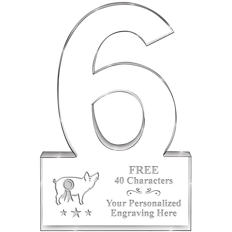 %" 6 YEARS OF SERVICE ACRYLIC