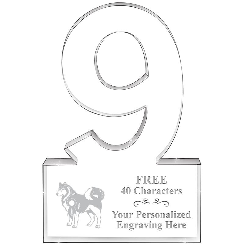 6" 9 YEARS OF SERVICE ACRYLIC