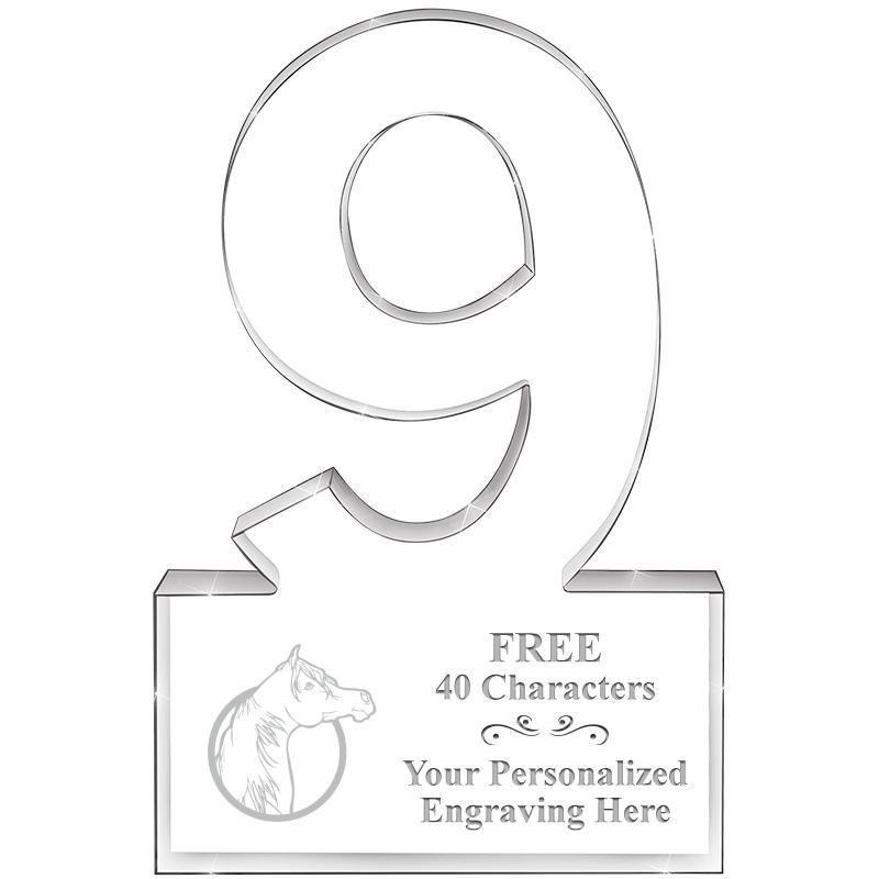 6" 9 YEARS OF SERVICE ACRYLIC