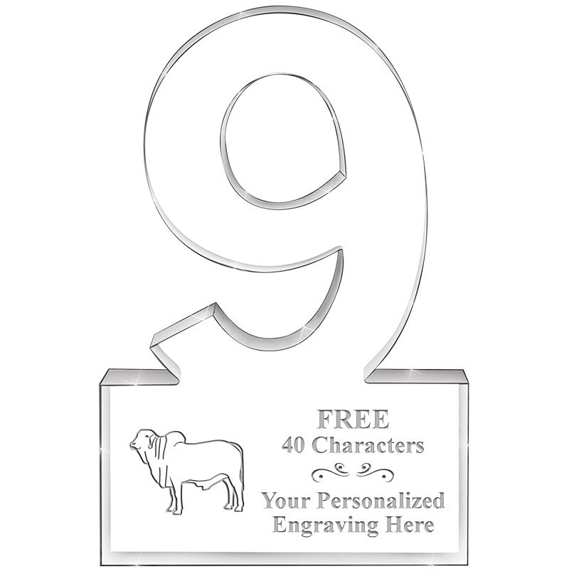 6" 9 YEARS OF SERVICE ACRYLIC