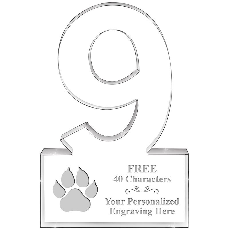 6" 9 YEARS OF SERVICE ACRYLIC