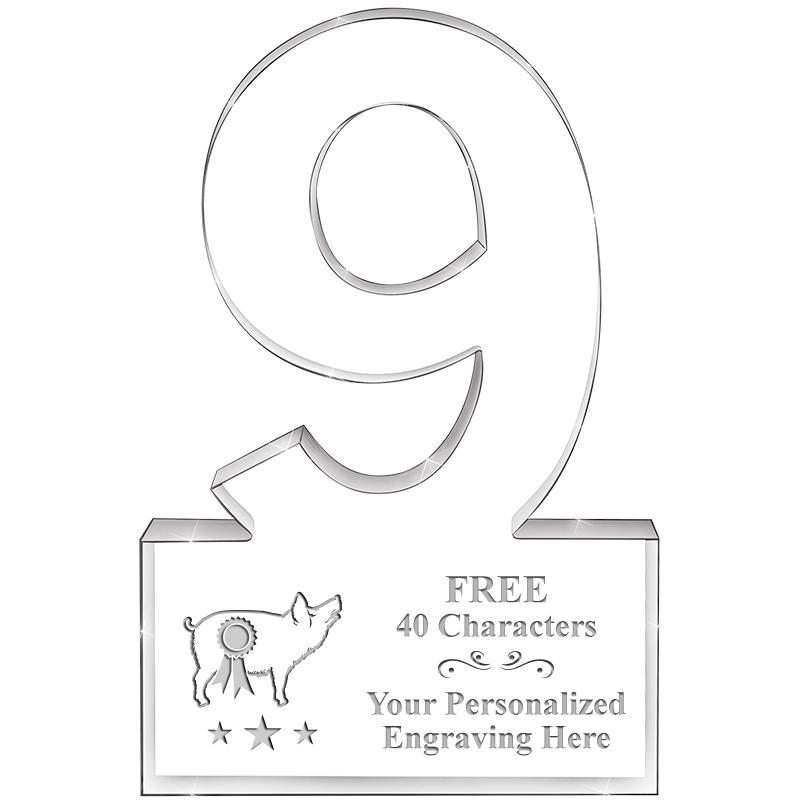 6" 9 YEARS OF SERVICE ACRYLIC