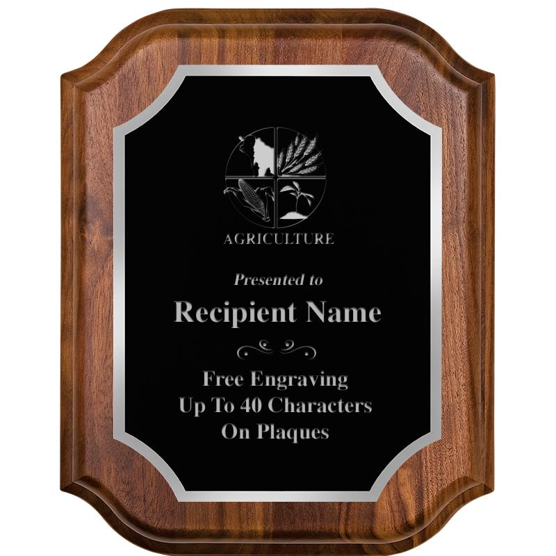 8X10 WALNUT LIFETIME SLV PLQ