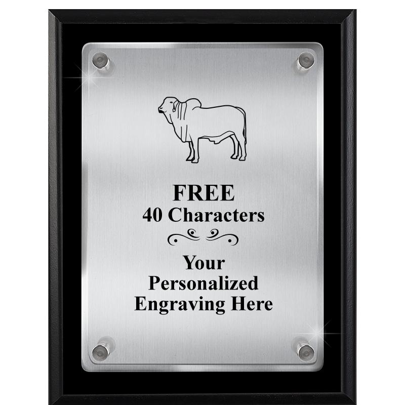 7" X 9" FLOATING ACRYLIC PLQ