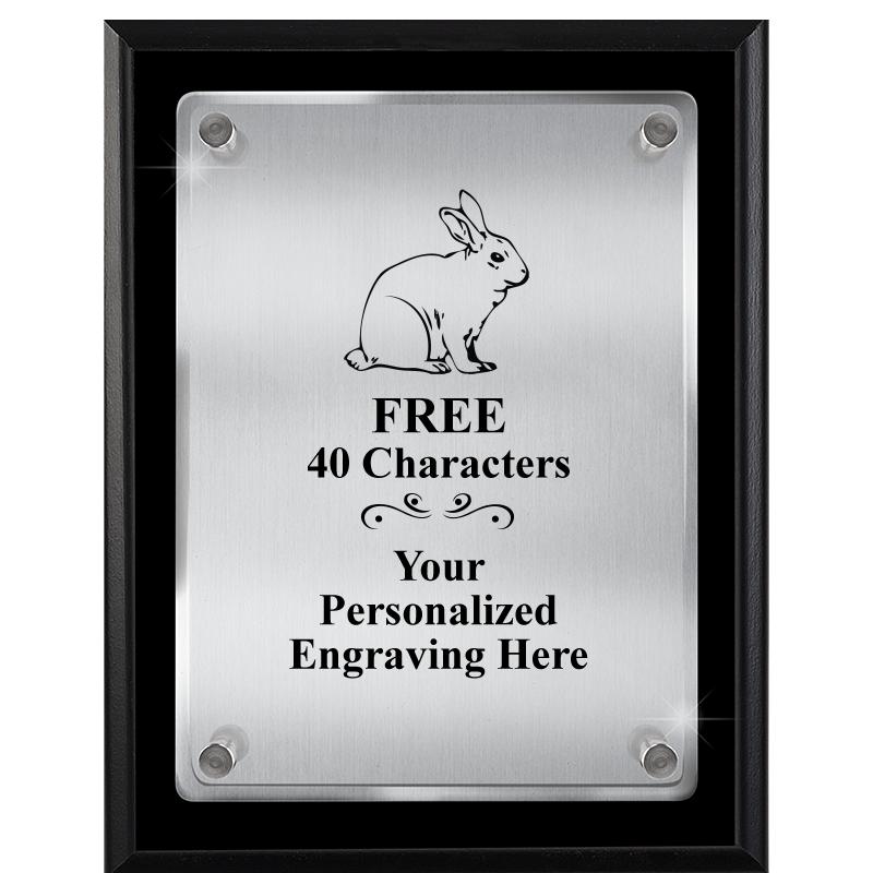 7" X 9" FLOATING ACRYLIC PLQ