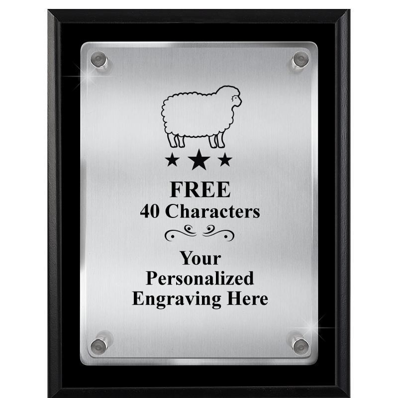 7" X 9" FLOATING ACRYLIC PLQ