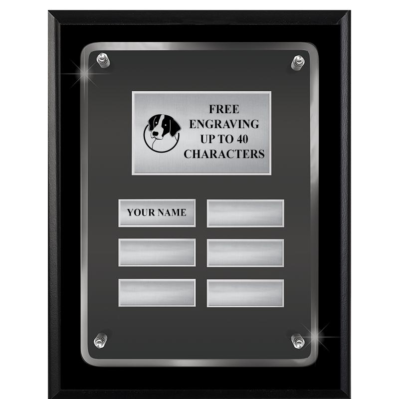 7X9 SHNY BLK PPTL FLT ACR PLQ