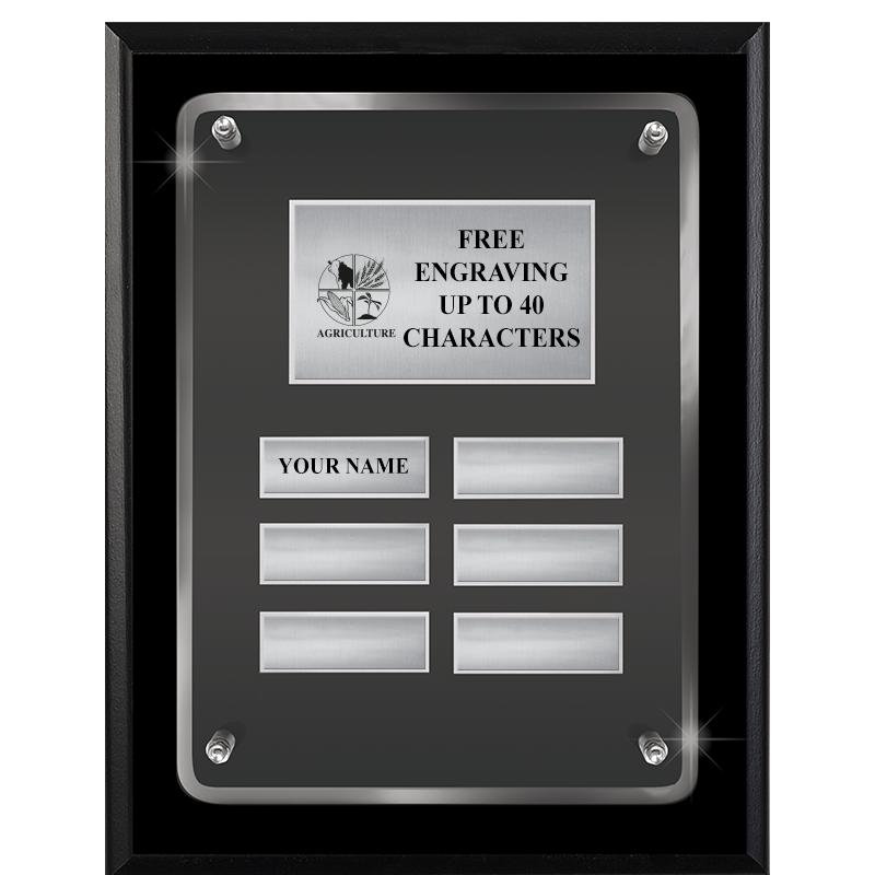 7X9 SHNY BLK PPTL FLT ACR PLQ