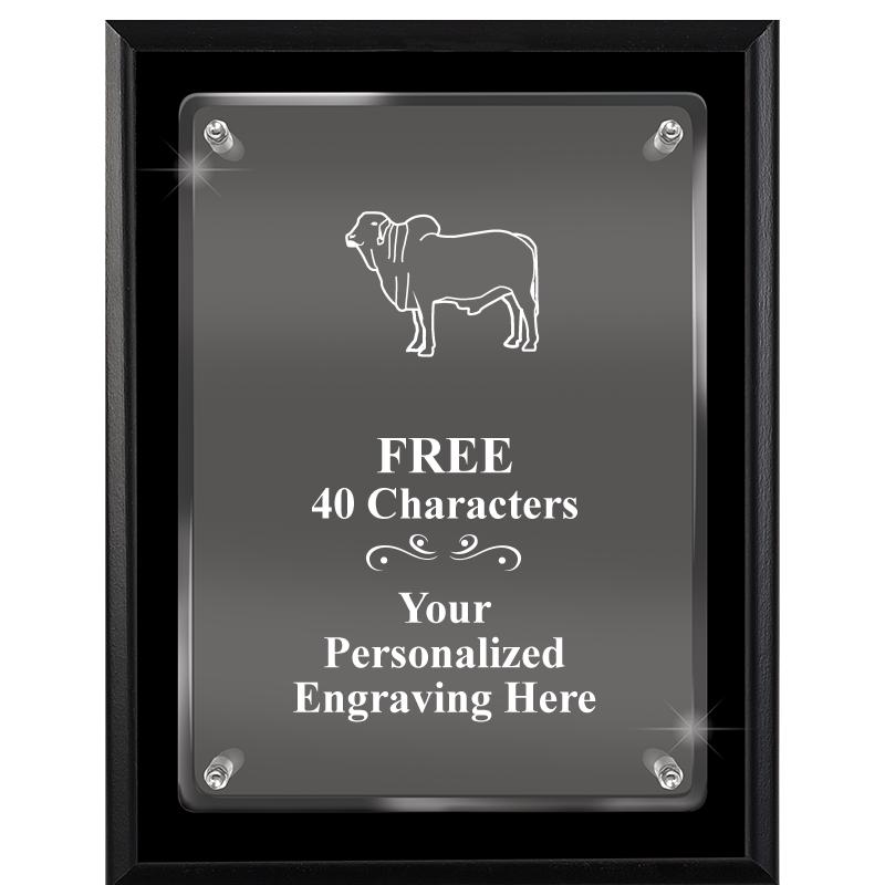 7X9 EBONY FLOAT ACR PLQ