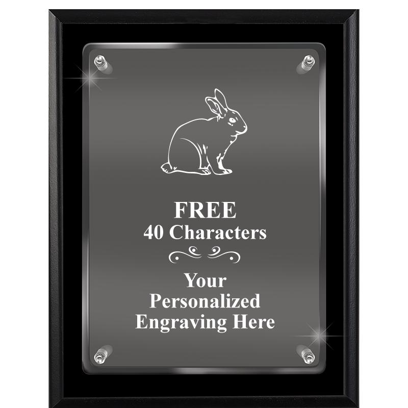 7X9 EBONY FLOAT ACR PLQ