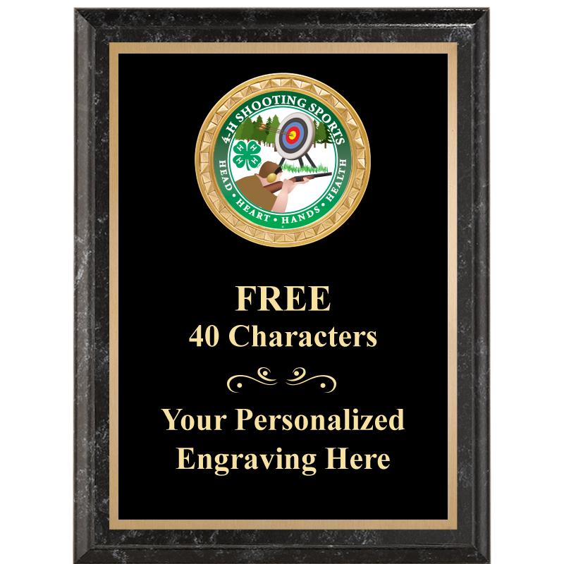 6X8 BLACK EXECUTIVE INSERT PLQ