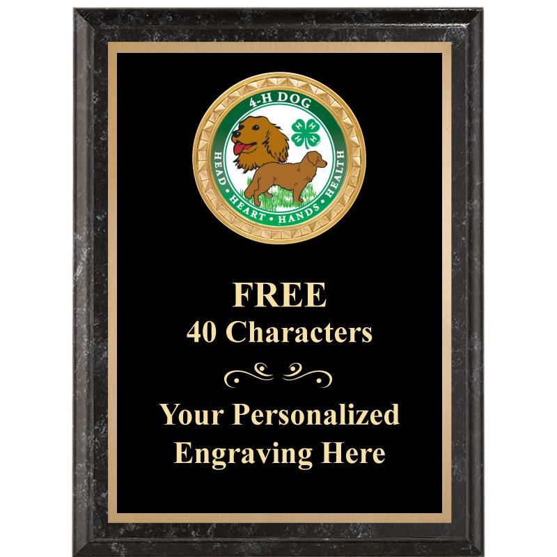 6X8 BLACK EXECUTIVE INSERT PLQ