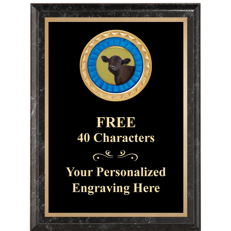 6X8 BLACK EXECUTIVE INSERT PLQ