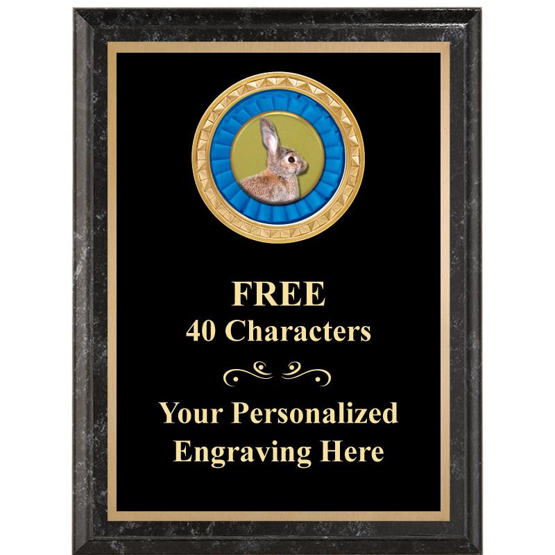 6X8 BLACK EXECUTIVE INSERT PLQ