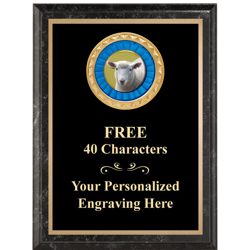 6X8 BLACK EXECUTIVE INSERT PLQ