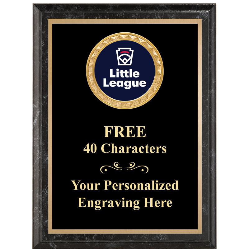 6X8 BLACK EXECUTIVE INSERT PLQ