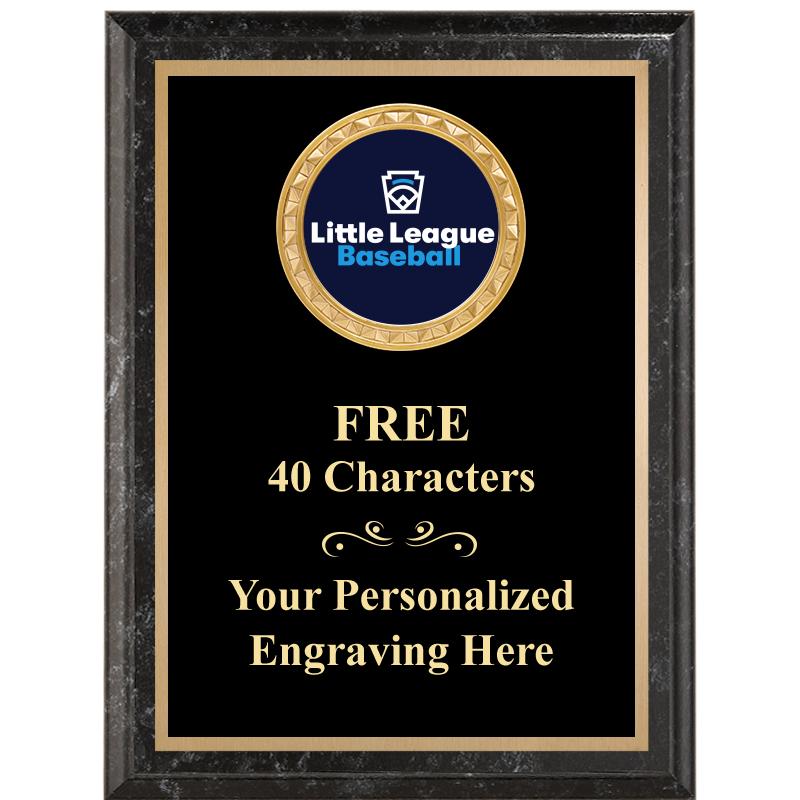 6X8 BLACK EXECUTIVE INSERT PLQ