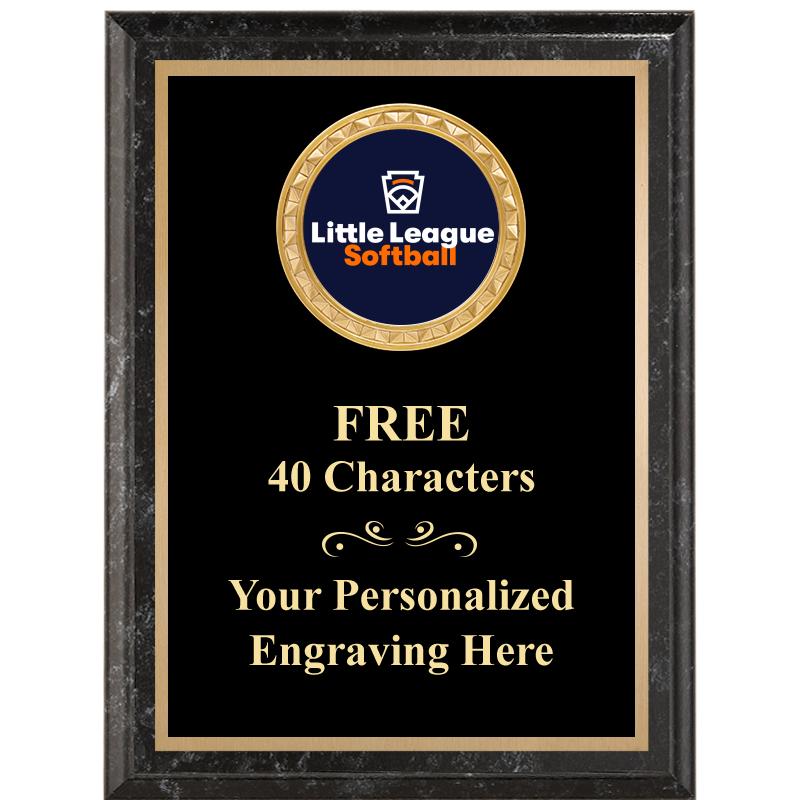 6X8 BLACK EXECUTIVE INSERT PLQ