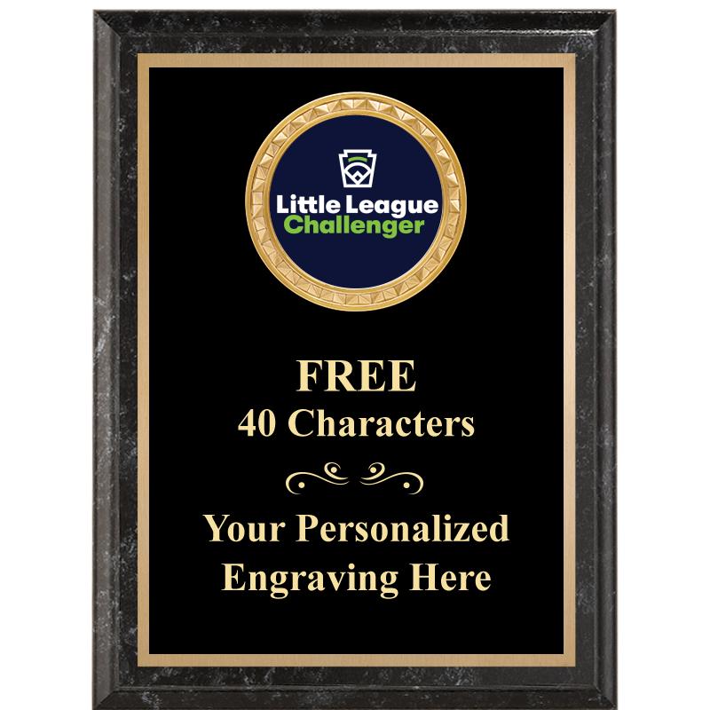 6X8 BLACK EXECUTIVE INSERT PLQ