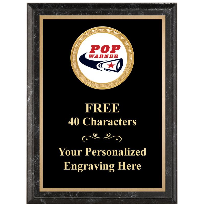 6X8 BLACK EXECUTIVE INSERT PLQ