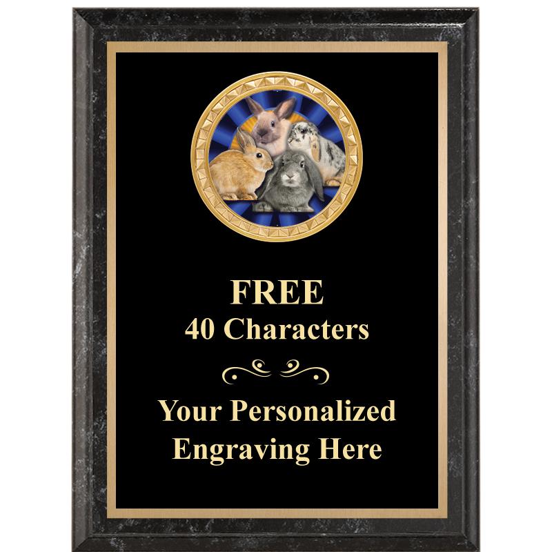 6X8 BLACK EXECUTIVE INSERT PLQ