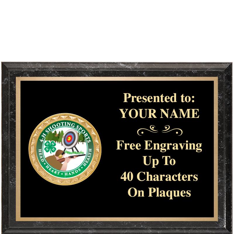 8X6 BLACK EXECUTIVE INSERT PLQ