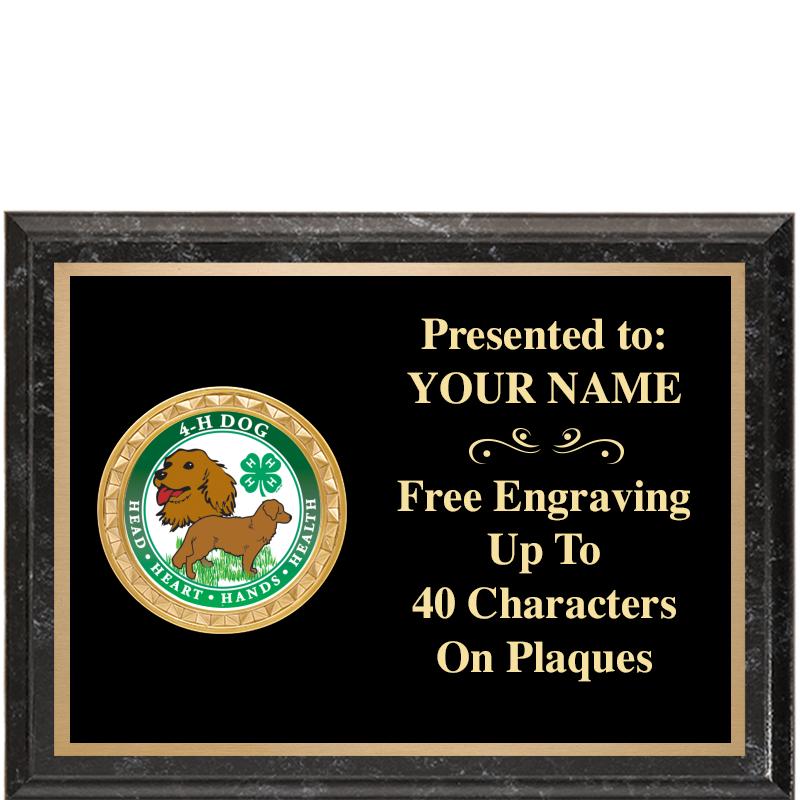 8X6 BLACK EXECUTIVE INSERT PLQ