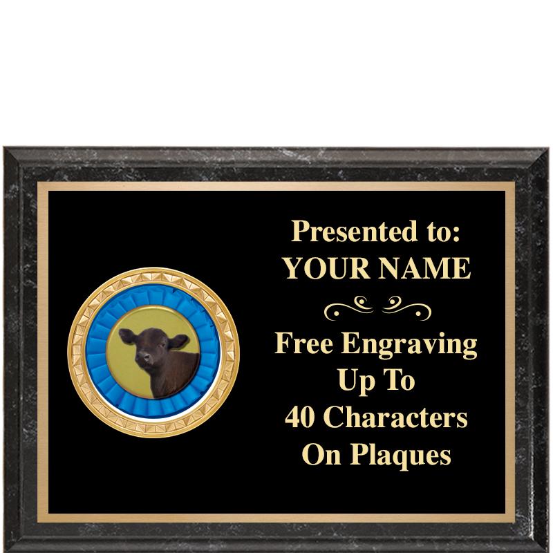 8X6 BLACK EXECUTIVE INSERT PLQ