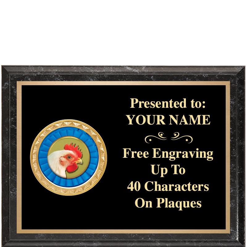 8X6 BLACK EXECUTIVE INSERT PLQ