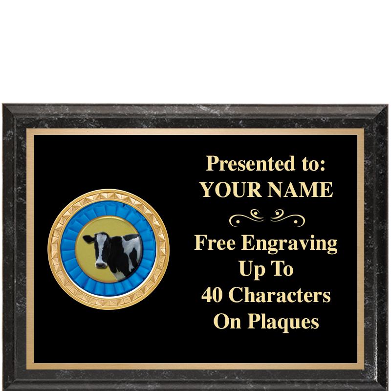 8X6 BLACK EXECUTIVE INSERT PLQ