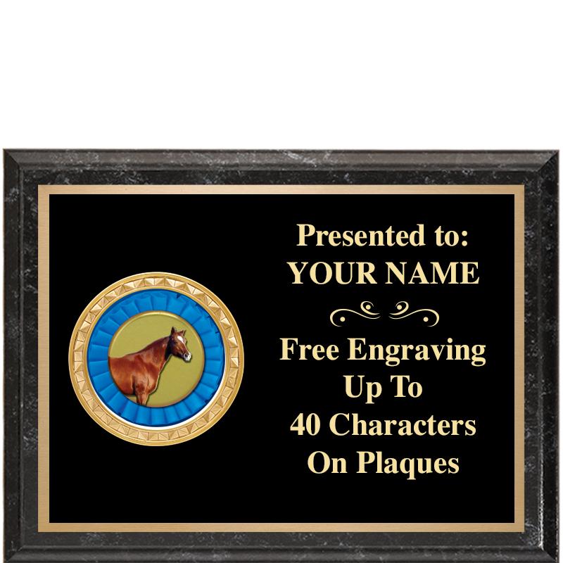 8X6 BLACK EXECUTIVE INSERT PLQ