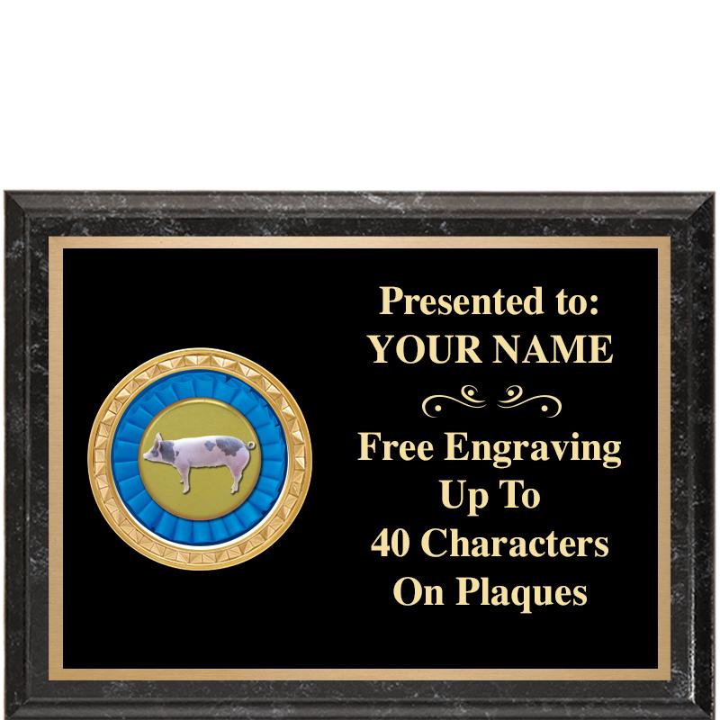 8X6 BLACK EXECUTIVE INSERT PLQ