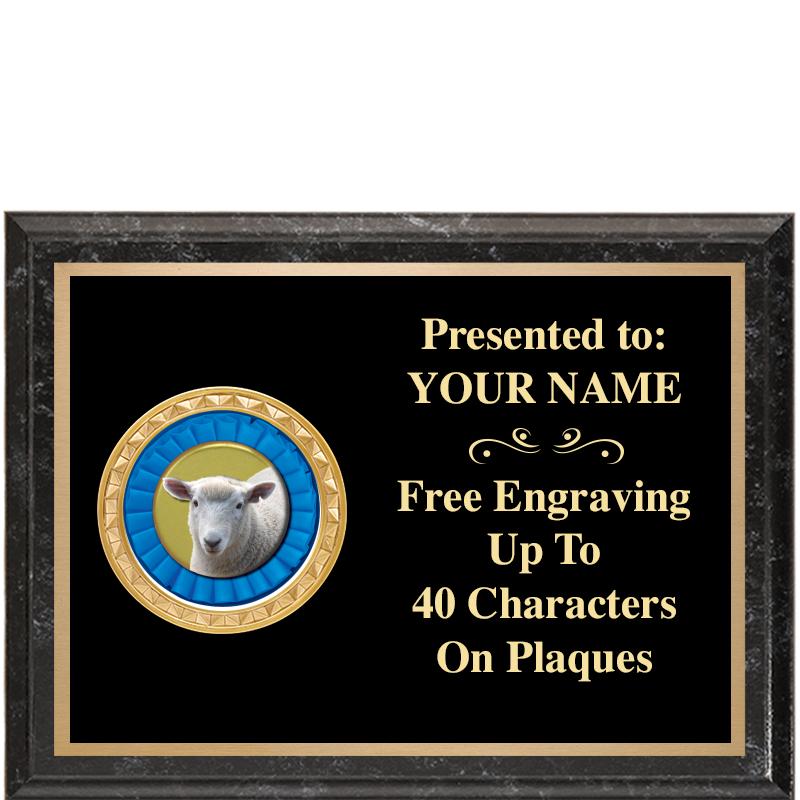 8X6 BLACK EXECUTIVE INSERT PLQ