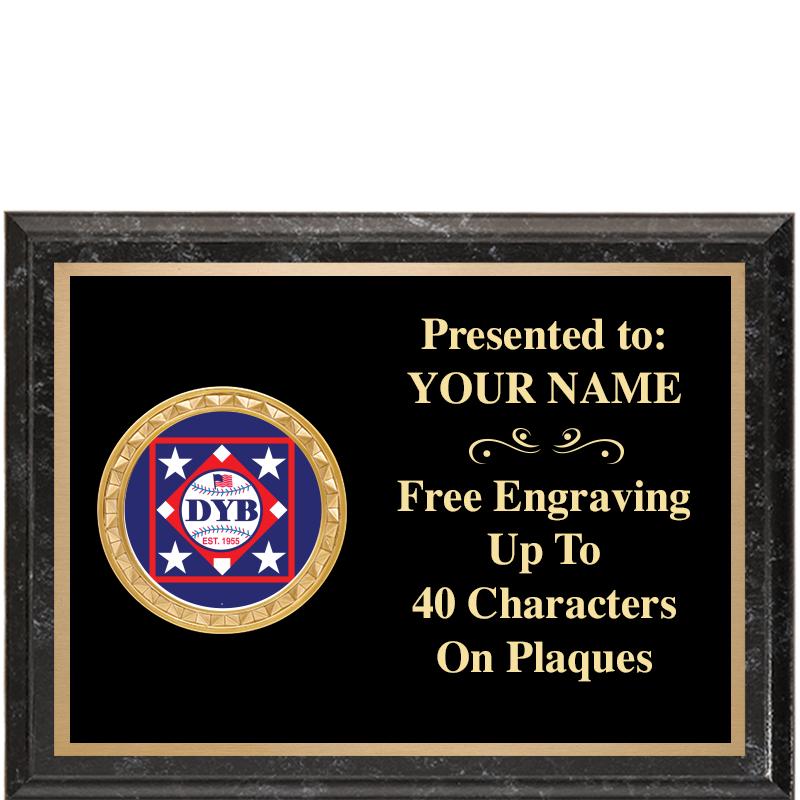 8X6 BLACK EXECUTIVE INSERT PLQ