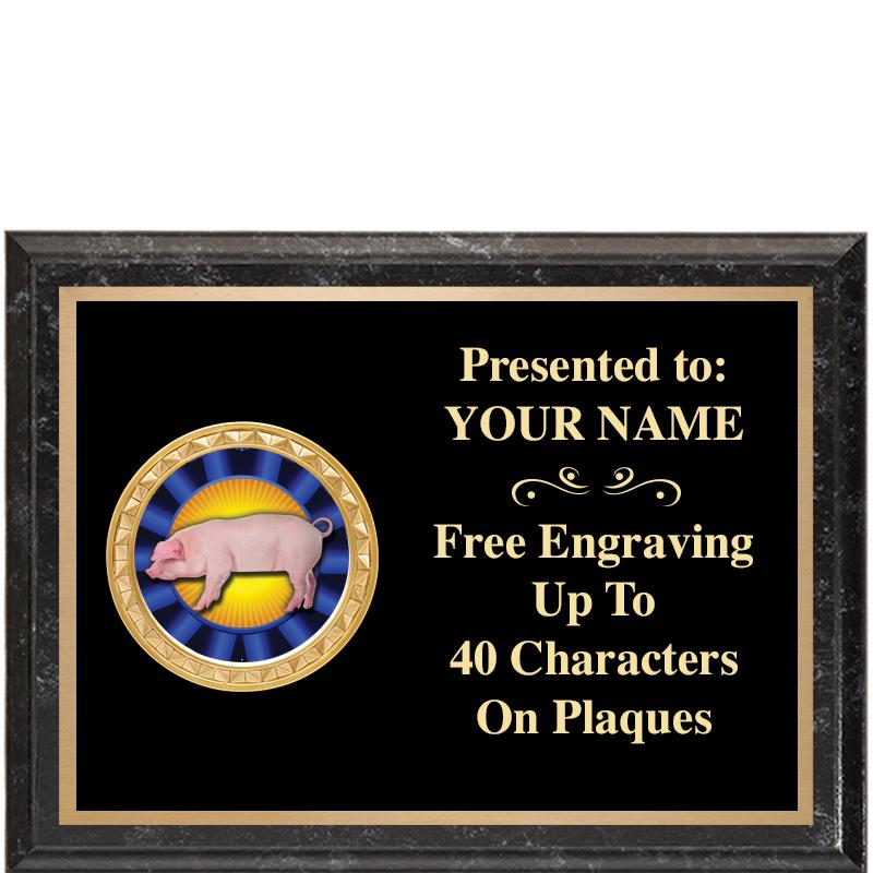 8X6 BLACK EXECUTIVE INSERT PLQ