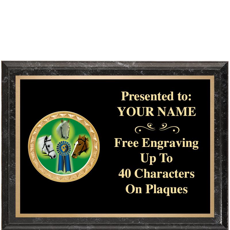 8X6 BLACK EXECUTIVE INSERT PLQ