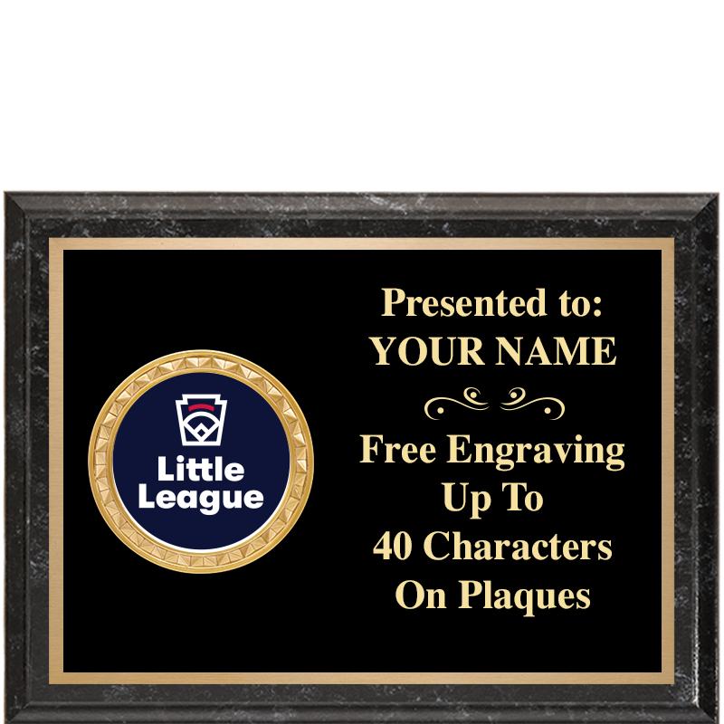 8X6 BLACK EXECUTIVE INSERT PLQ