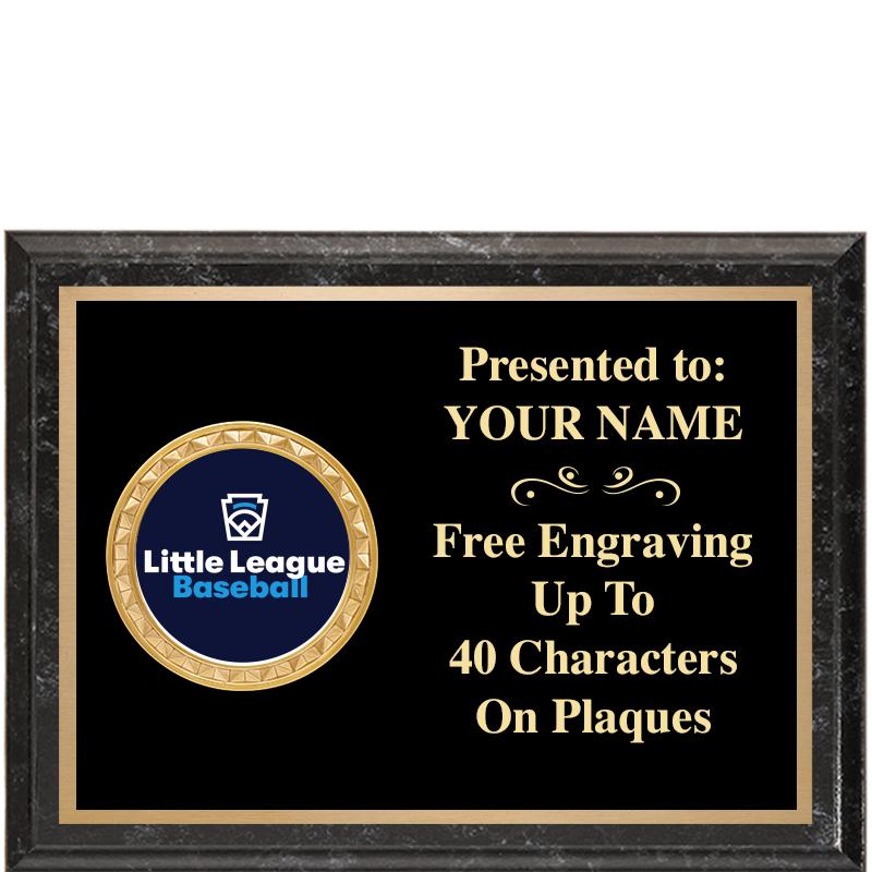 8X6 BLACK EXECUTIVE INSERT PLQ