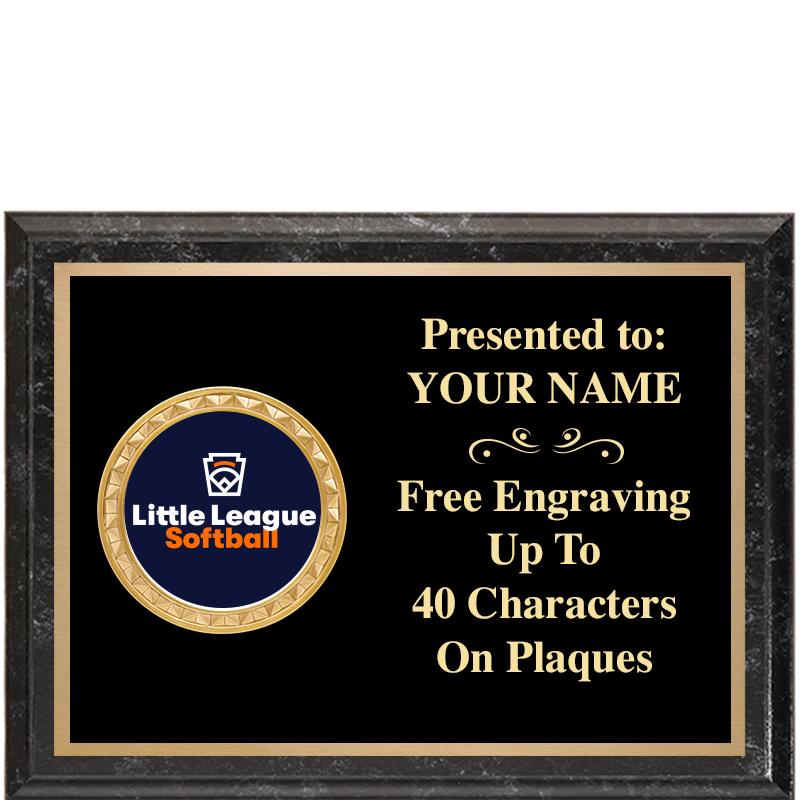 8X6 BLACK EXECUTIVE INSERT PLQ