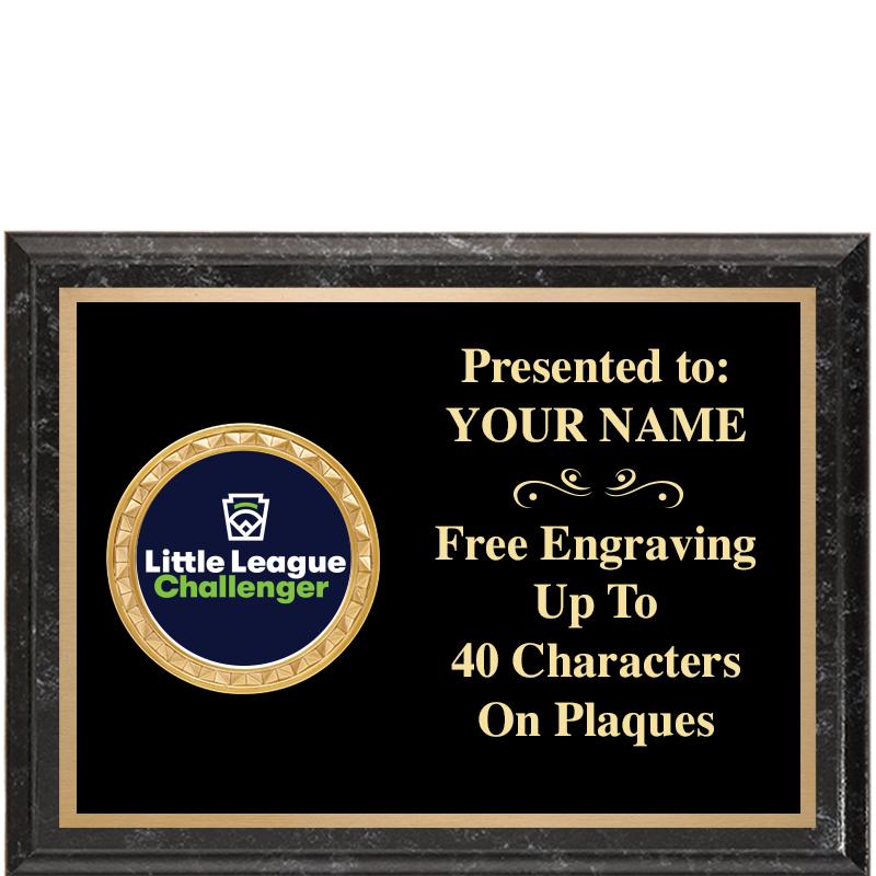 8X6 BLACK EXECUTIVE INSERT PLQ