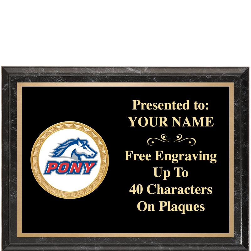 8X6 BLACK EXECUTIVE INSERT PLQ