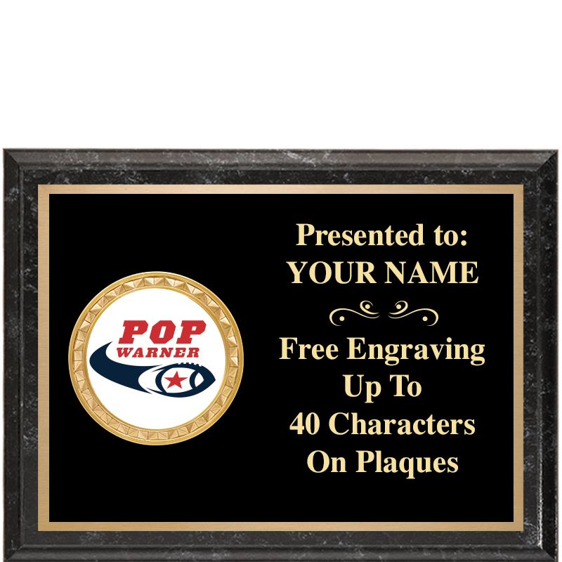 8X6 BLACK EXECUTIVE INSERT PLQ