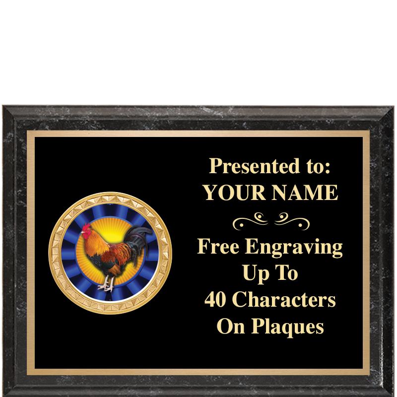 8X6 BLACK EXECUTIVE INSERT PLQ