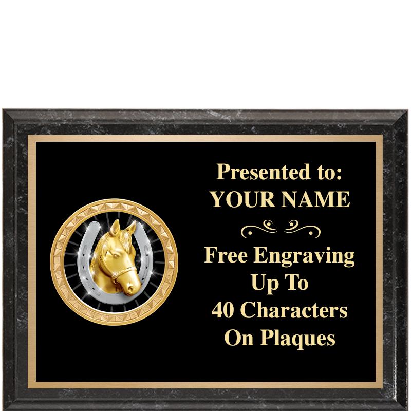 8X6 BLACK EXECUTIVE INSERT PLQ